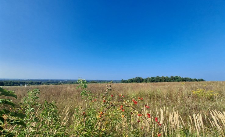 działka na sprzedaż - Mierzęcice, Sadowie, Dworska